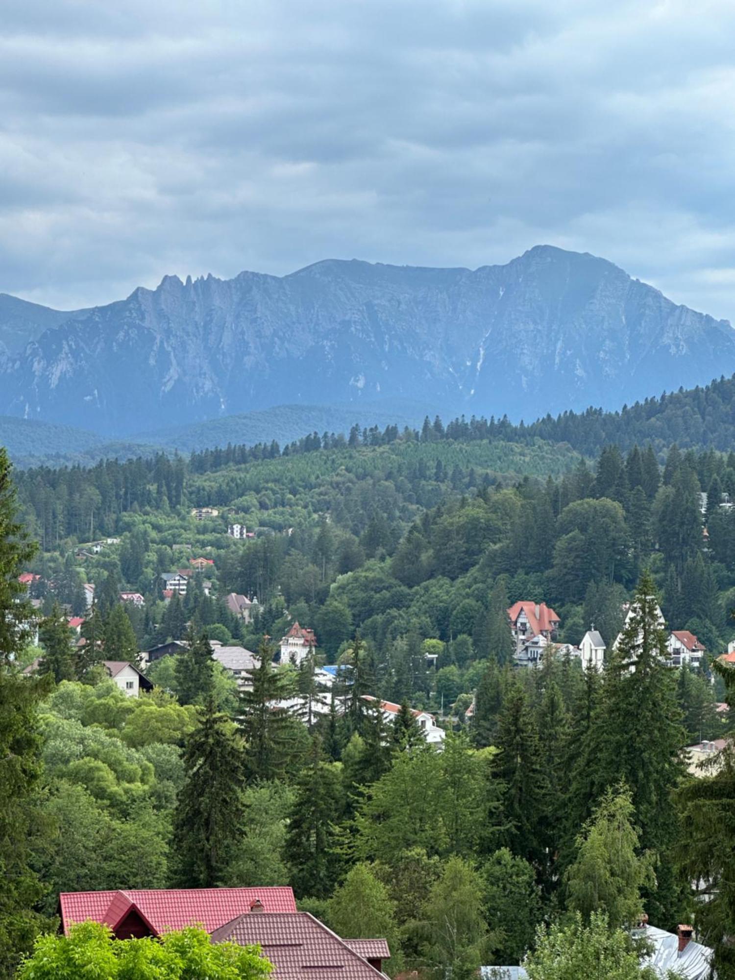 Pine Peak Apartments Предял Екстер'єр фото